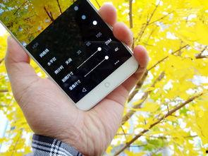 手机看片在线国产,手机看片,尽享国产影视魅力